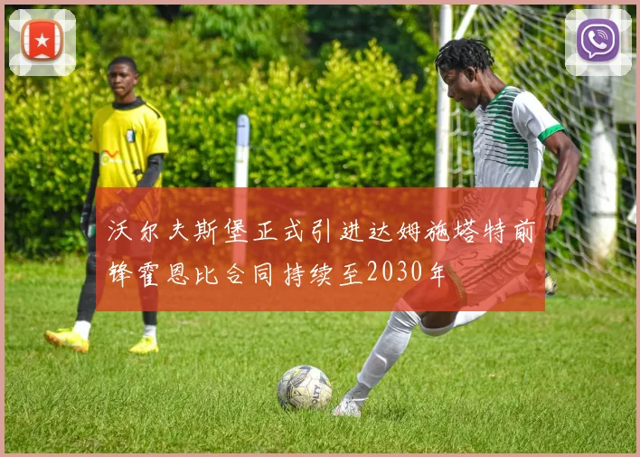 沃尔夫斯堡正式引进达姆施塔特前锋霍恩比合同持续至2030年