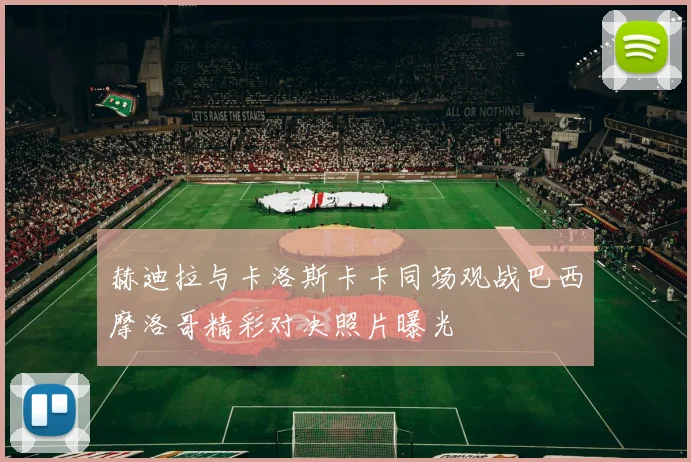 赫迪拉与卡洛斯卡卡同场观战巴西摩洛哥精彩对决照片曝光