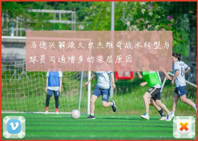 马德兴解读久尔杰维奇战术转型与球员沟通增多的深层原因